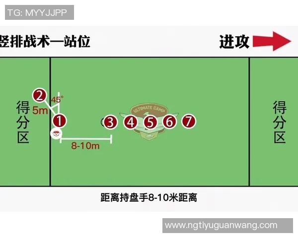 2026年3月份新闻成都飞盘队的防反战术解析与实战应用探讨